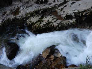 image477